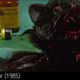 Illustration for article titled Supercats! supercut proves that cats are cinema’s greatest treasures